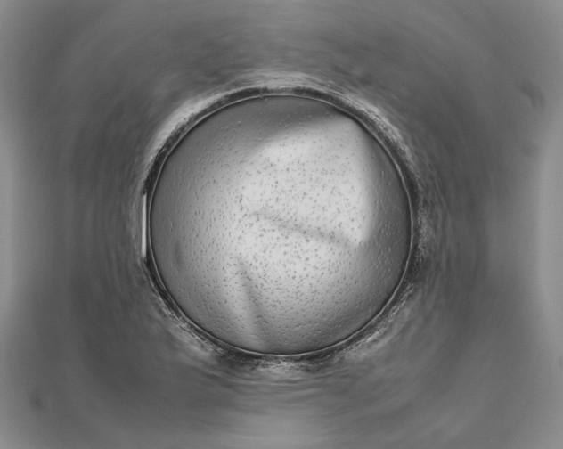 X0000111841175200908061247