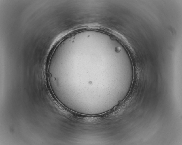 X0000111841176200908061247