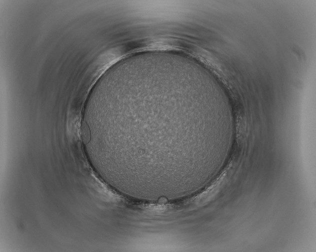 X0000111841177200908061247