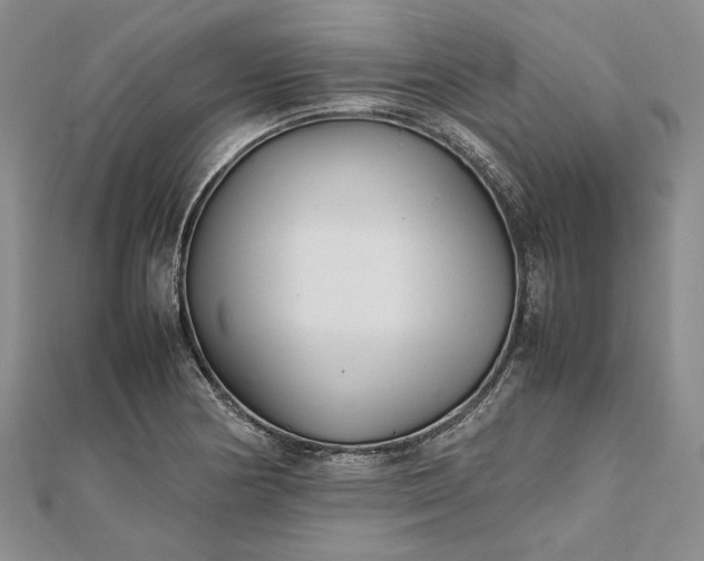 X0000111841178200908061247