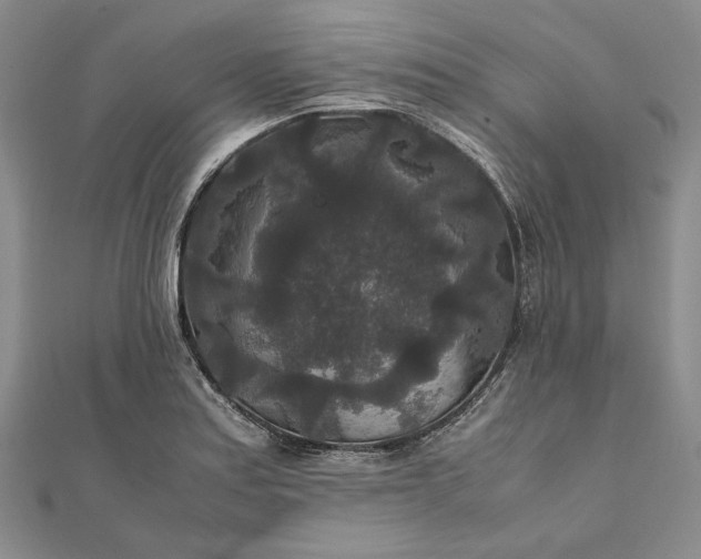 X0000111841179200908061247