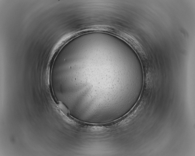 X0000111841180200908061247