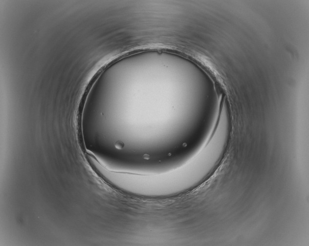 X0000111841181200908061247