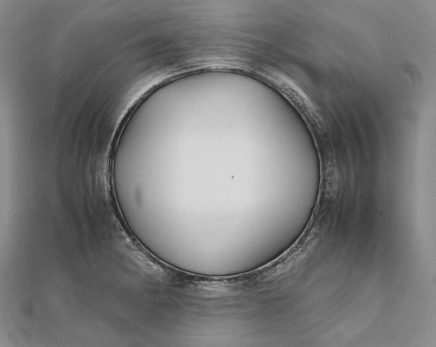 X0000111841182200908061247