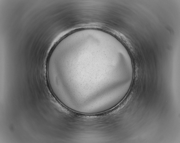 X0000111841184200908061247