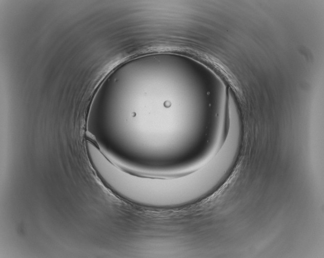 X0000111841185200908061247