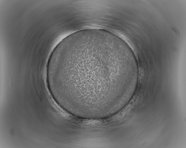 X0000111841187200908061247