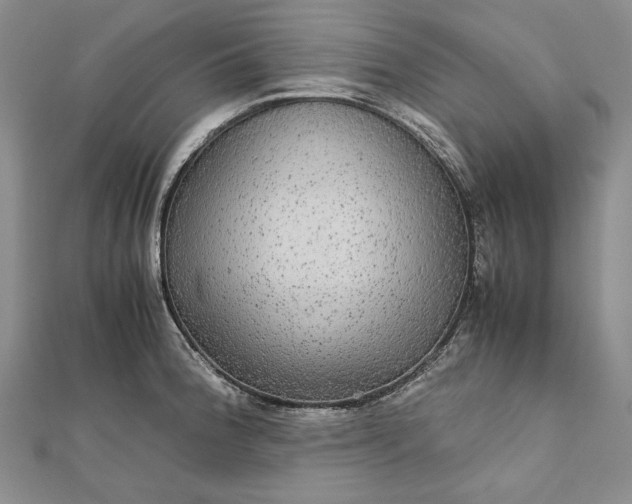 X0000111841188200908061247