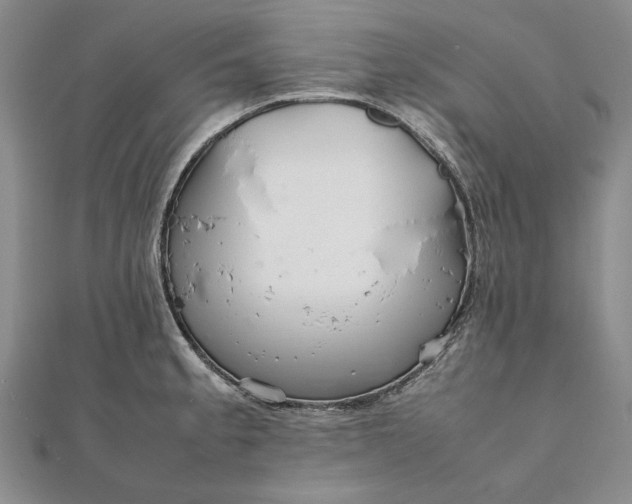 X0000111841189200908061247