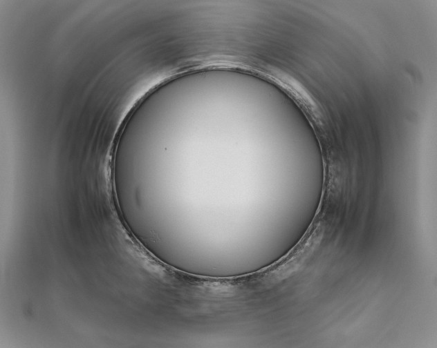 X0000111841190200908061247