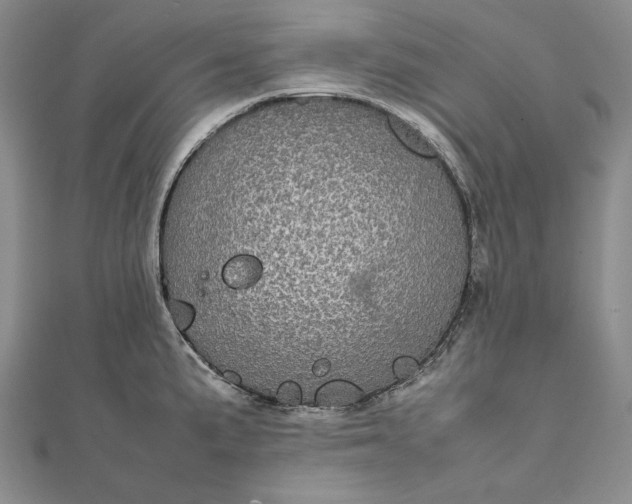 X0000111841191200908061247