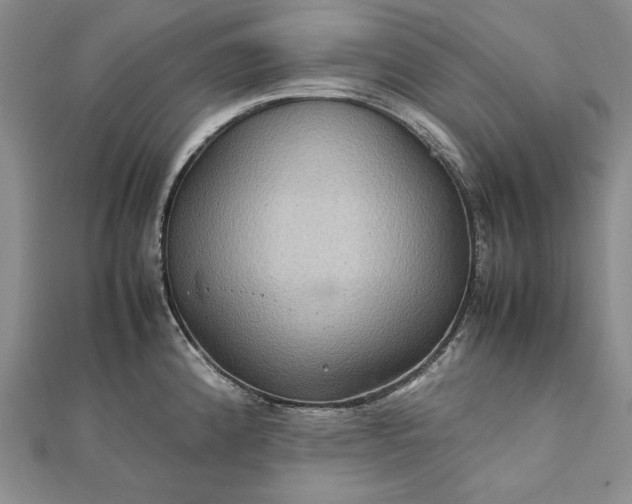 X0000111841192200908061247