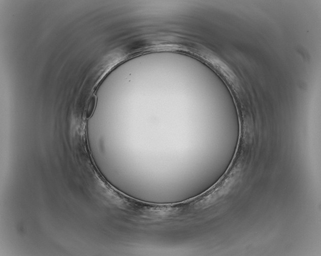 X0000111841193200908061247