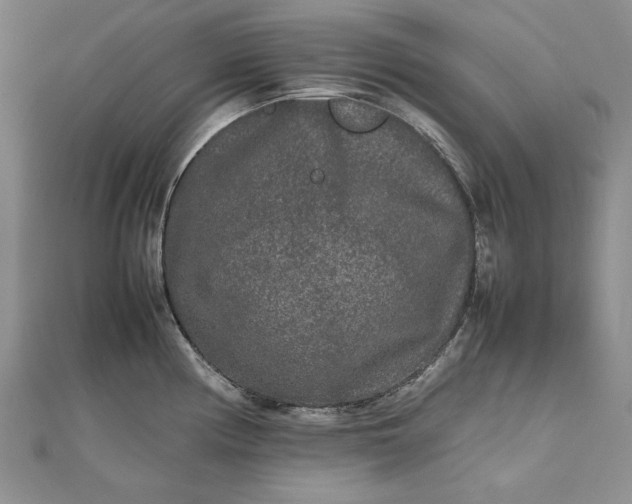 X0000111841194200908061247