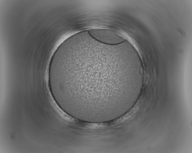 X0000111841195200908061247