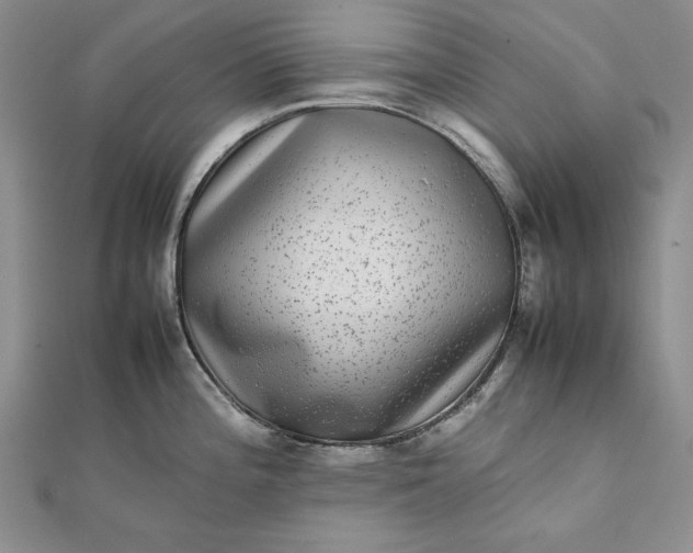 X0000111841196200908061247