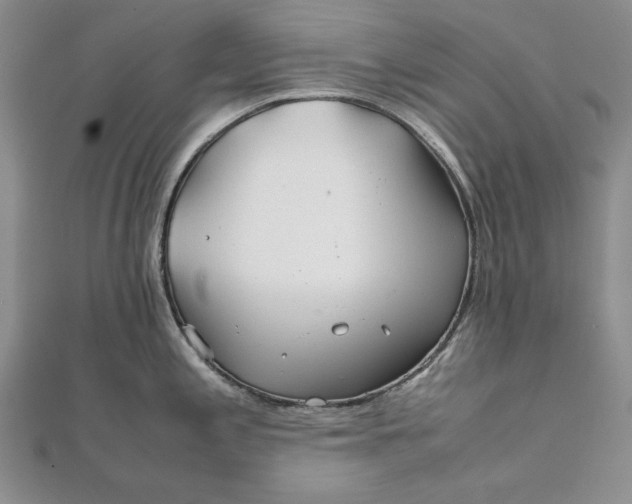 X0000111841197200908061247