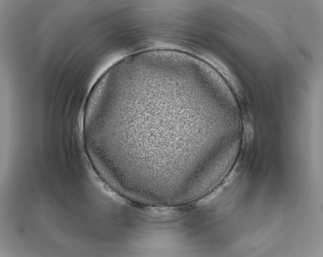 X0000111841198200908061247