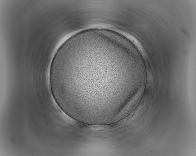 X0000111841199200908061247