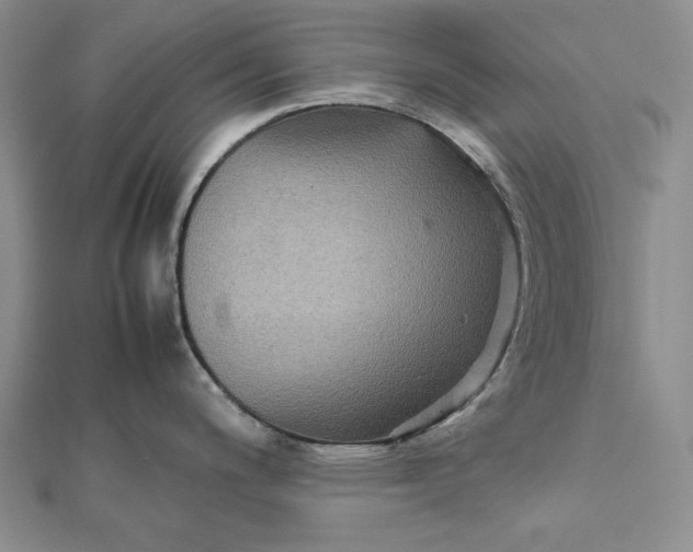 X0000111841200200908061247