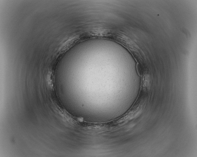 X0000111841202200908061246