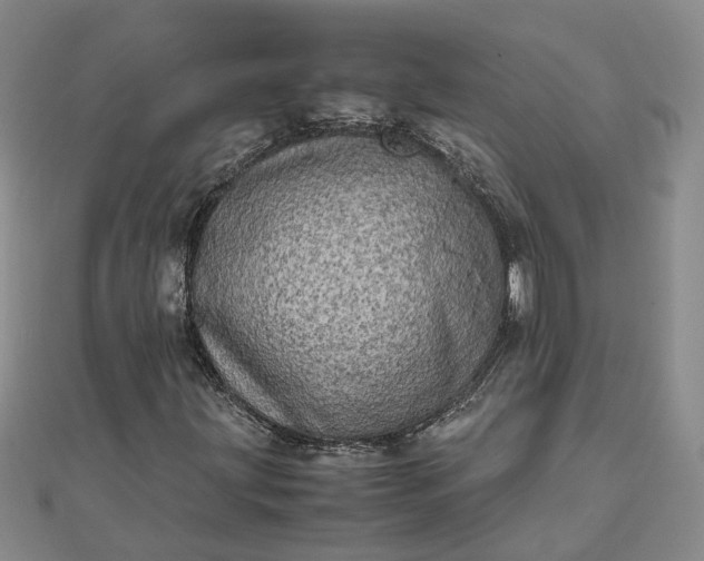 X0000111841203200908061246