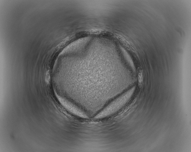 X0000111841204200908061246