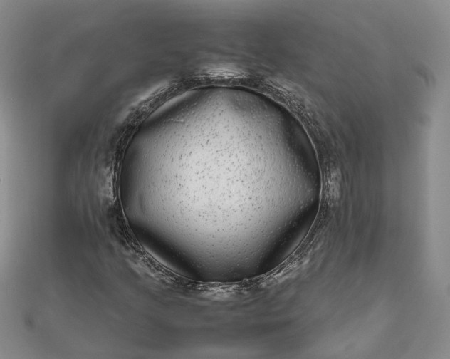 X0000111841205200908061246