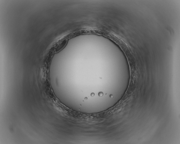 X0000111841207200908061246