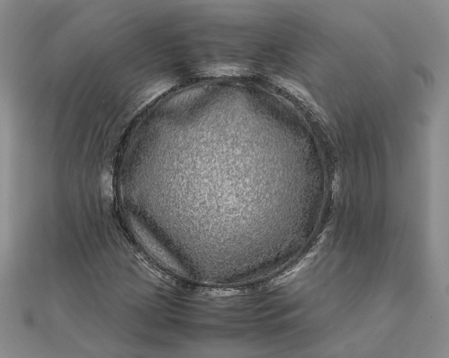 X0000111841209200908061246