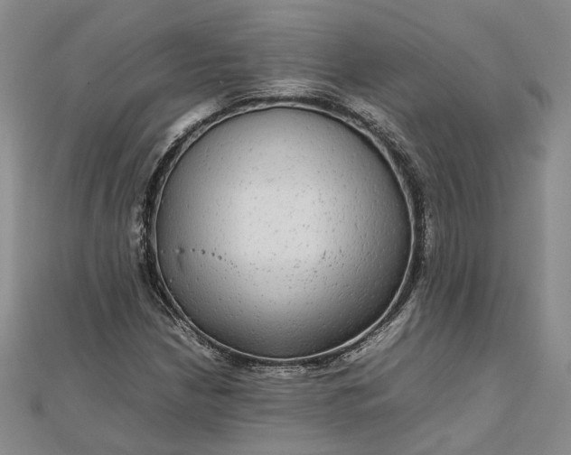 X0000111841210200908061246