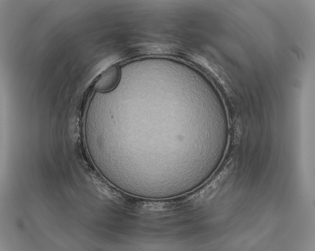 X0000111841211200908061246