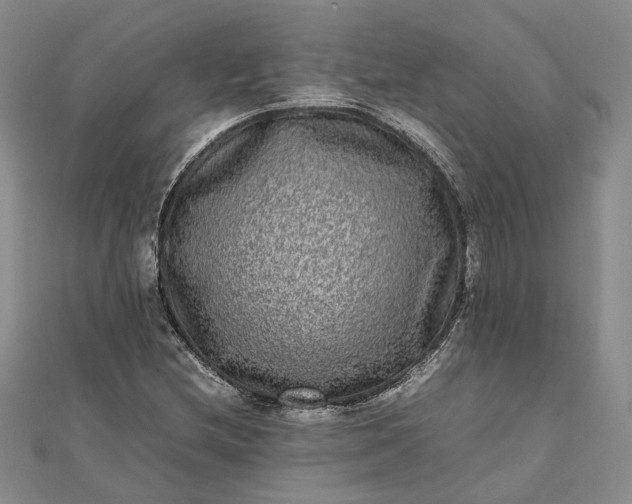 X0000111841212200908061246