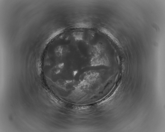 X0000111841213200908061246