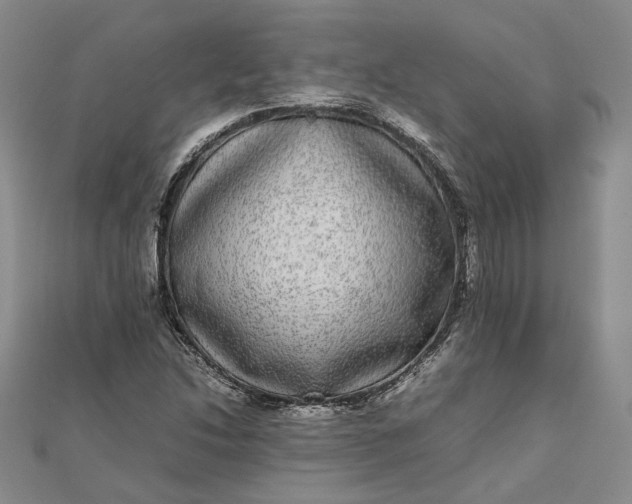 X0000111841214200908061246