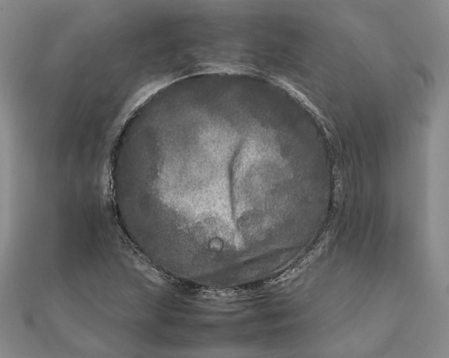 X0000111841215200908061246