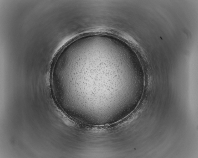 X0000111841216200908061246