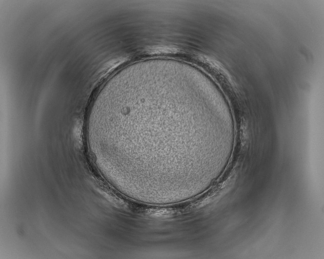 X0000111841217200908061246