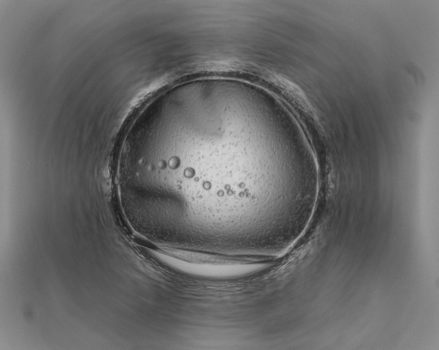 X0000111841218200908061246