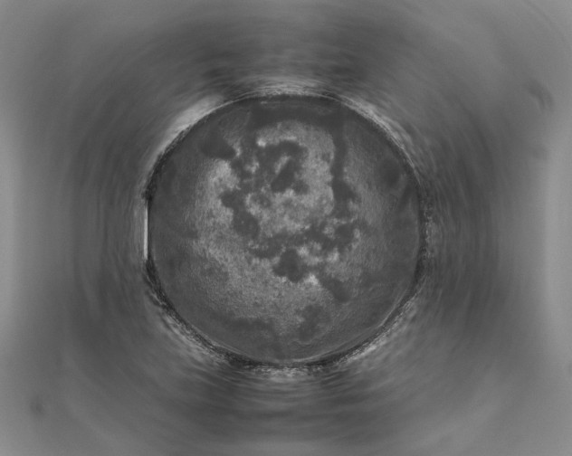 X0000111841219200908061246