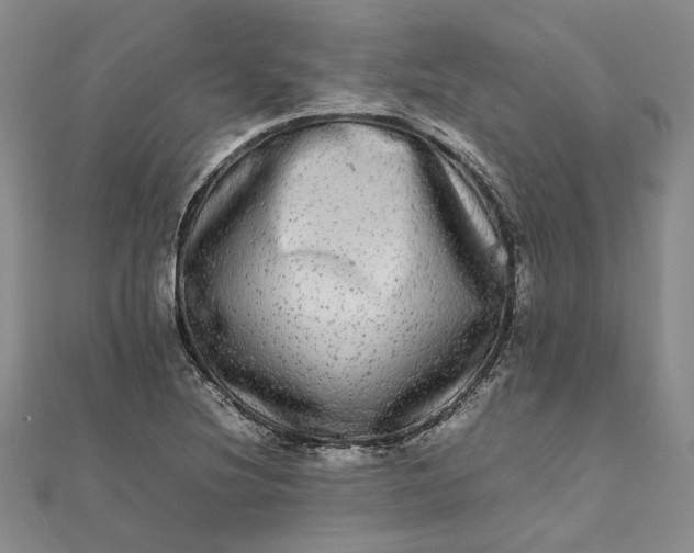 X0000111841220200908061246