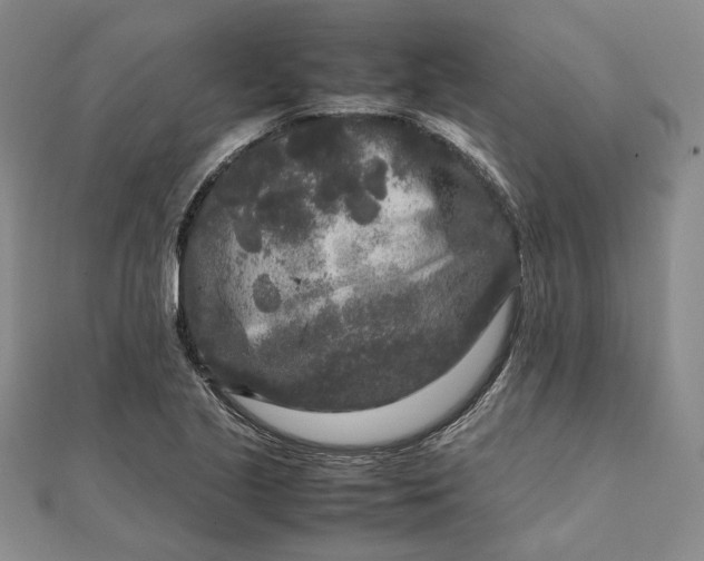 X0000111841221200908061246