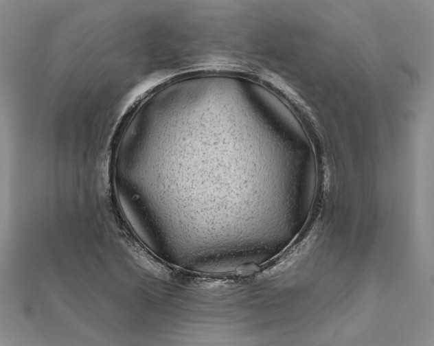 X0000111841222200908061246