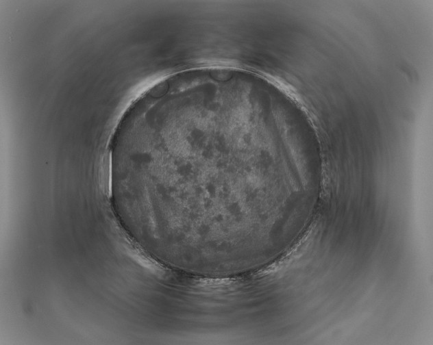 X0000111841223200908061246