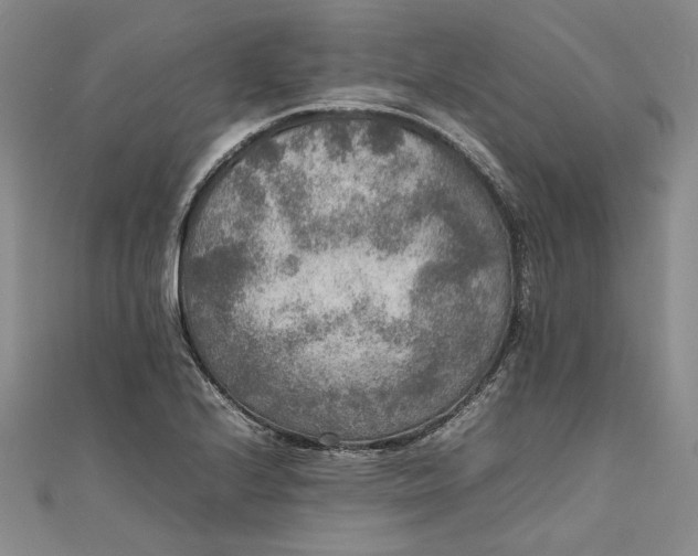 X0000111841224200908061247