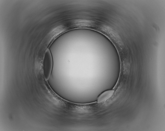 X0000111841225200908061247