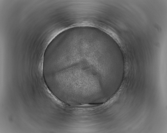 X0000111841228200908061247