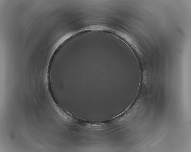 X0000111841229200908061247