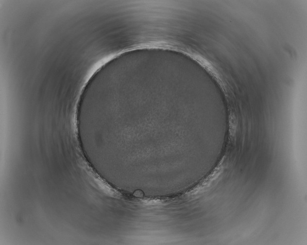 X0000111841230200908061247