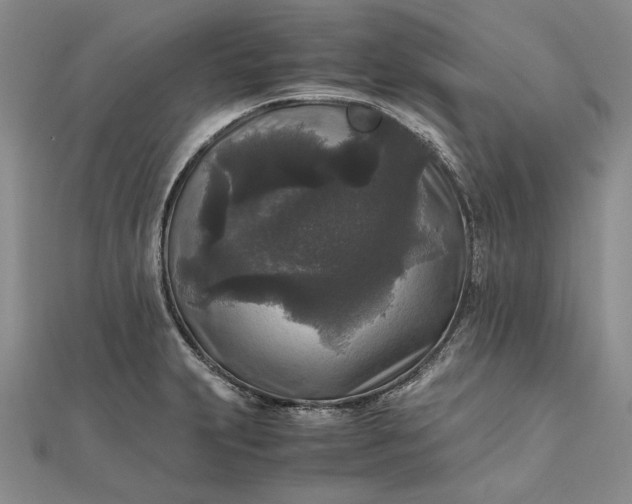 X0000111841231200908061247